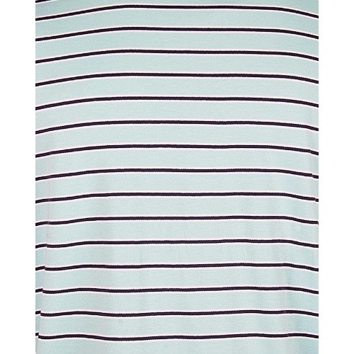 Men's Adirondack Stripe Polo Top - Mint