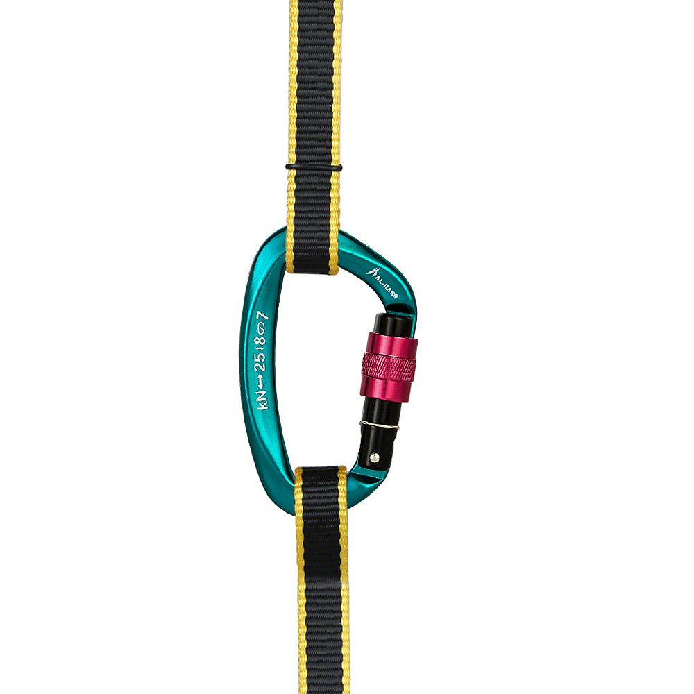 25KN Professional Climbing Carabiner Screw Locking Gate
