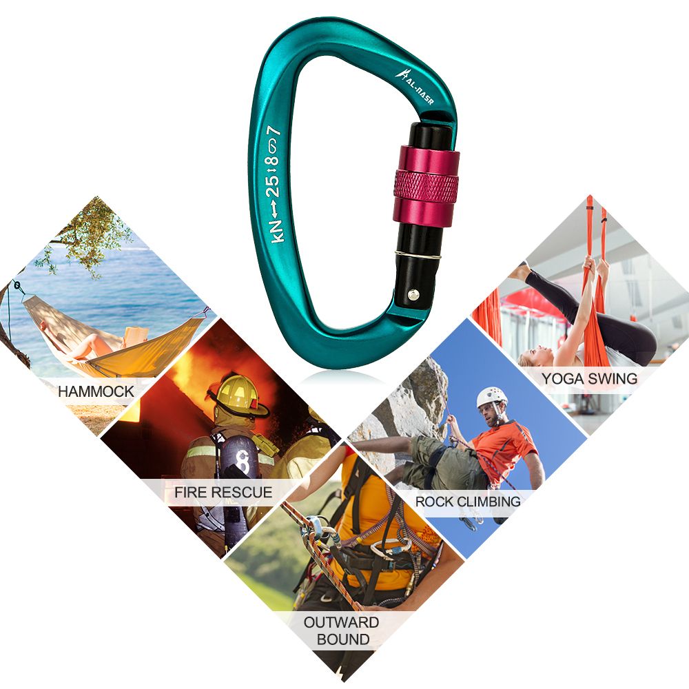 25KN Professional Climbing Carabiner Screw Locking Gate