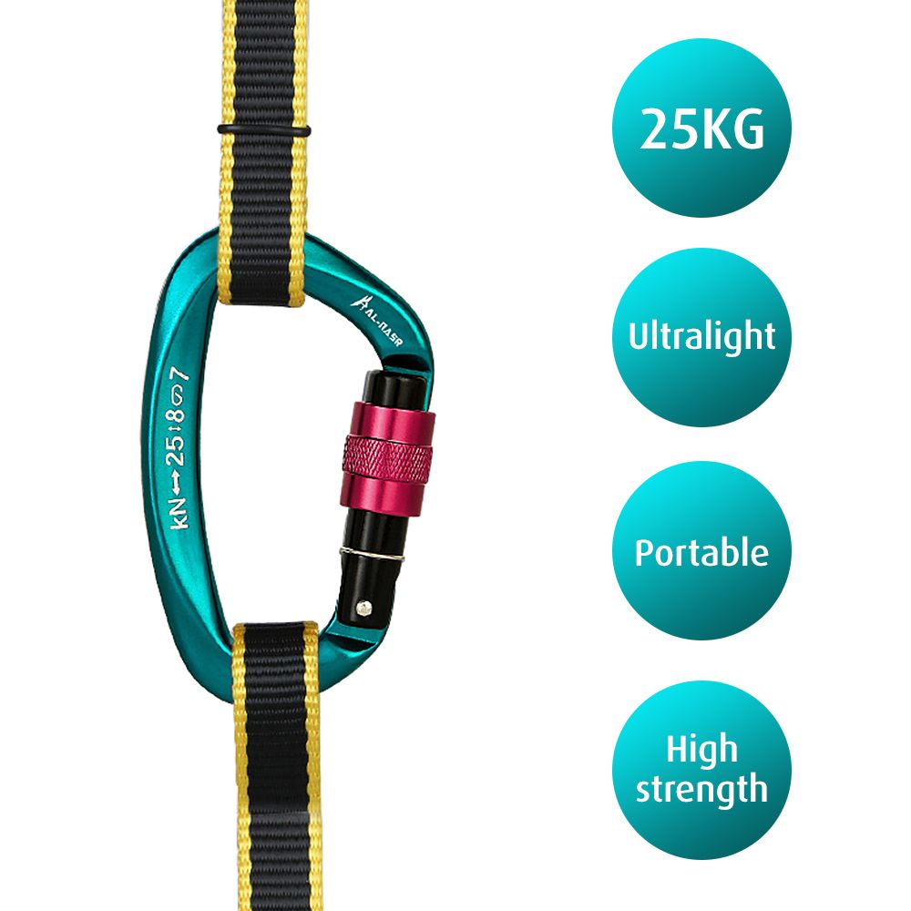 25KN Professional Climbing Carabiner Screw Locking Gate