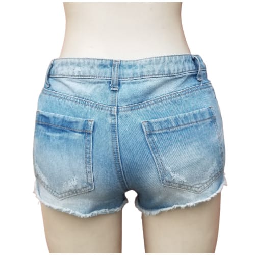 Loosethread Faded Bumshort- Blue