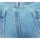 Loosethread Faded Bumshort- Blue