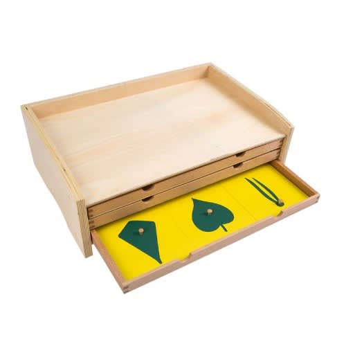 Botany Cabinet 18 Leaves