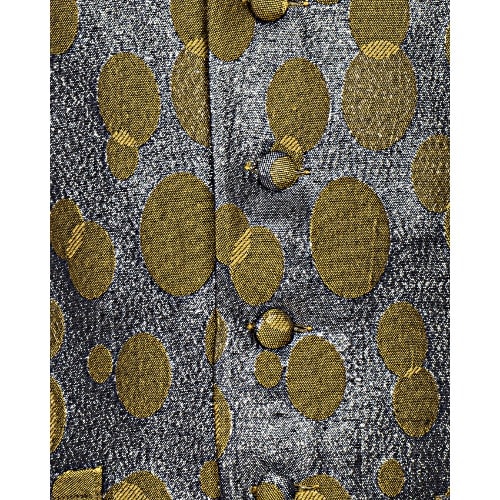 Premium Dot Pattern Waist Coat - Silver & Gold Mwc-1477