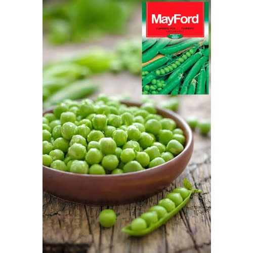 MayFord Seed - Garden Pea - Greenfeast -20g