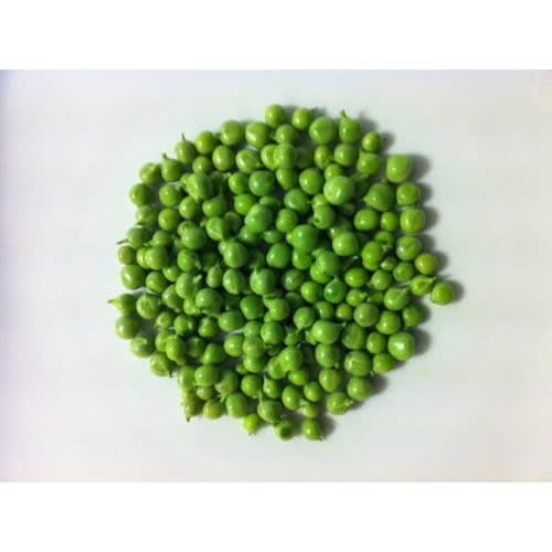 MayFord Seed - Garden Pea - Greenfeast -20g