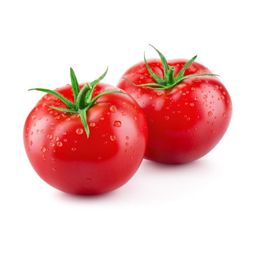 Po405 F1 Hybrid Tomato Seeds 1000 Seeds