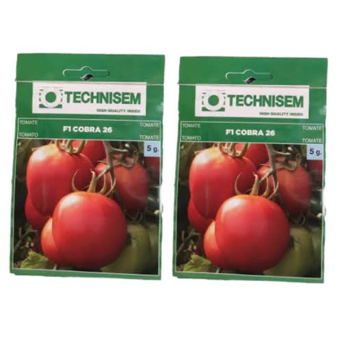 Hybrid Tomato Seeds - 5g - 2Sachet