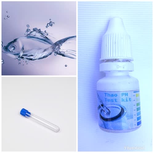 Aquarium /catfish Pond Water Ph Test - 20 Test