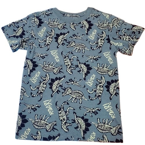 Dino Roar Kids Print Tshirt