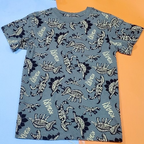 Dino Roar Kids Print Tshirt