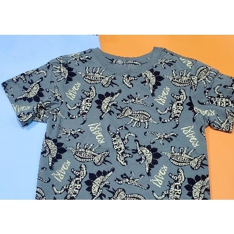 Dino Roar Kids Print Tshirt
