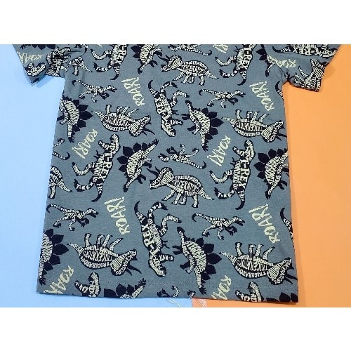 Dino Roar Kids Print Tshirt