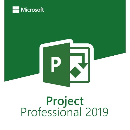 Project 2019 Professional