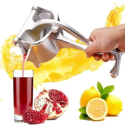 Fruit Juice Extractor