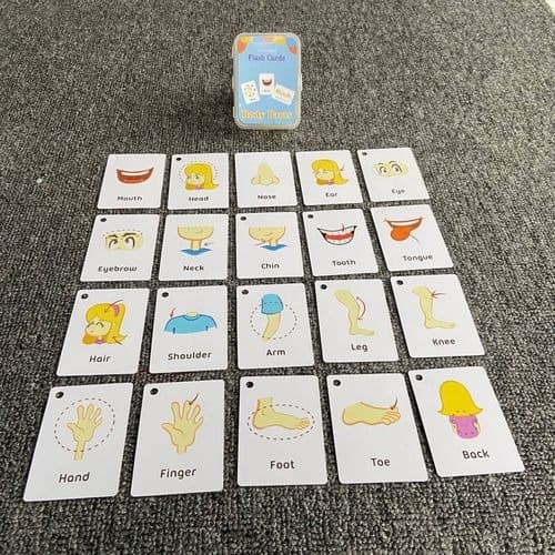 Kids Montessori Early Learning Flash Cards Cognition - Body Parts