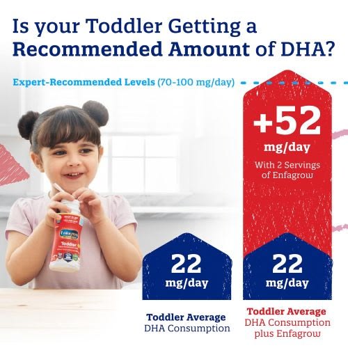 Premium Toddler Nutritional Milk - Powder Can - 32 Oz. - Pack Of 6