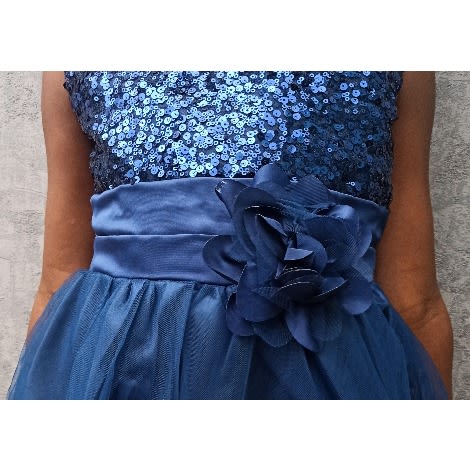Navy Sequins Dress