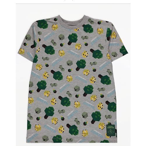 Minecraft Earth T-shirt - Grey