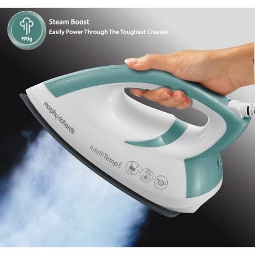 Power Steam Generator Iron 333300