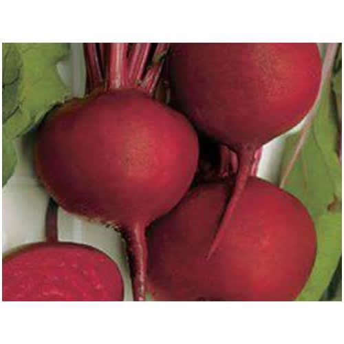 Beetroot Seeds -detroit Dark Red - 10 Grams