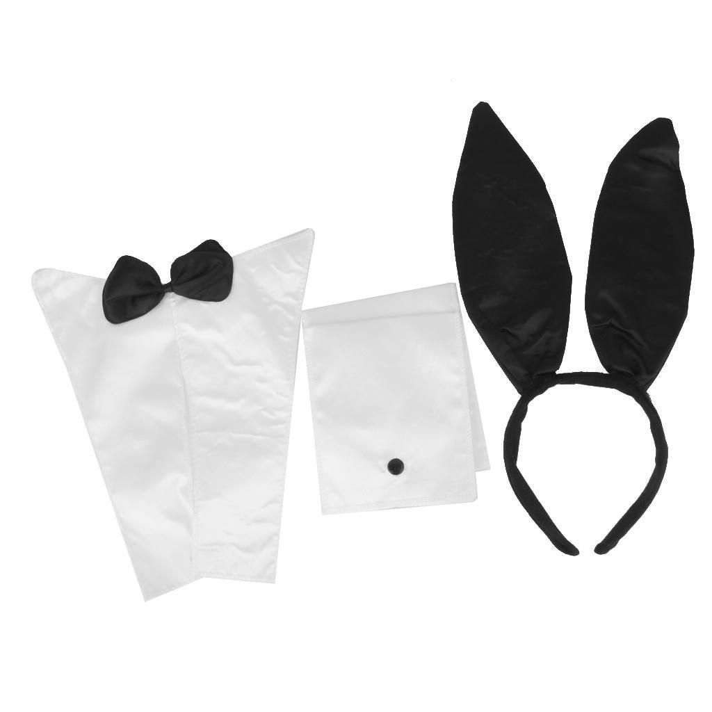 Tiara Hen Night Fancy Dress Size: Regular