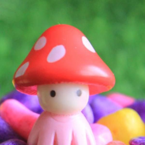 Miniature Fairy Garden Mushroom Doll Home Decoration