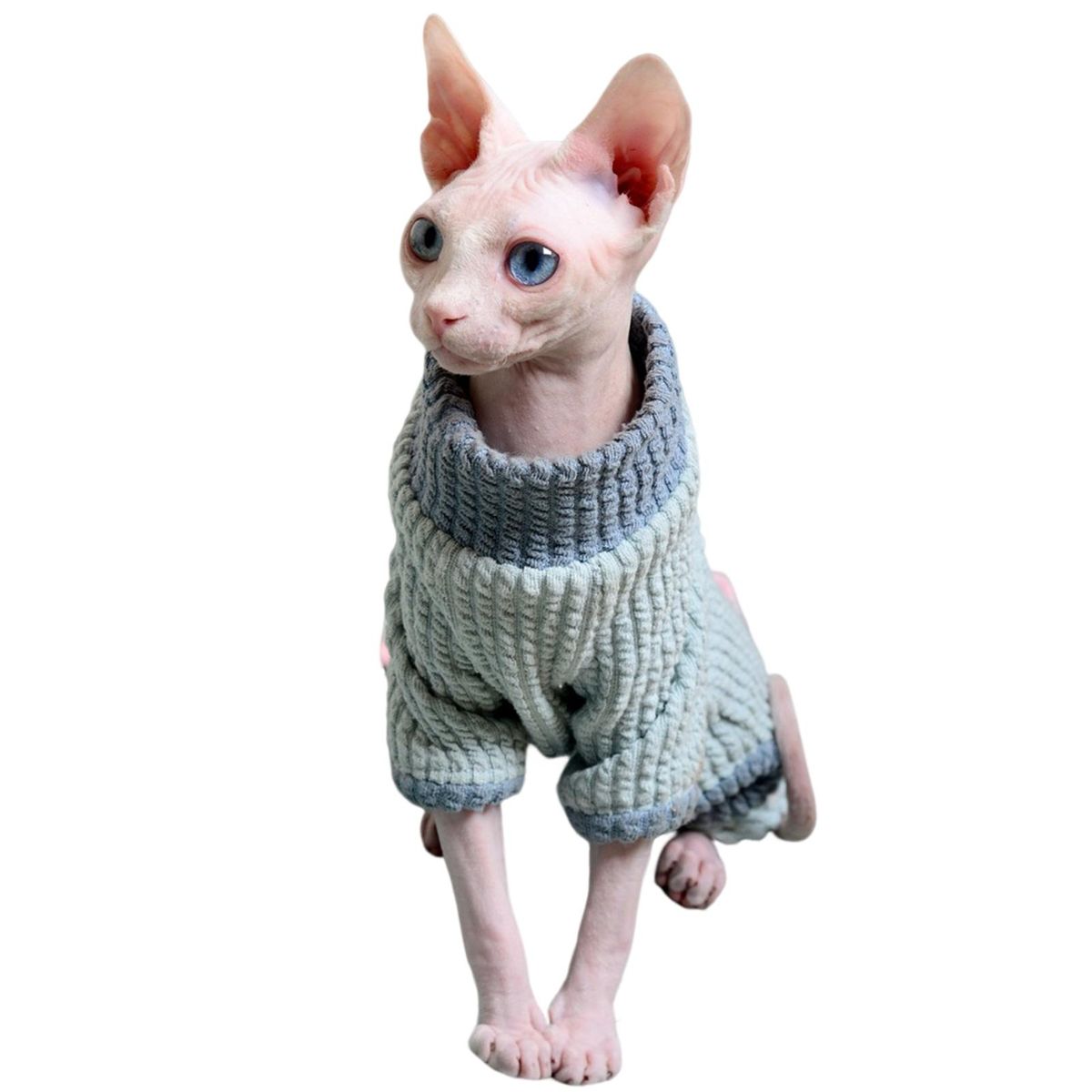 Cat Costume 4-Legged Cat Jumpsuit Clothing Decoration Blue