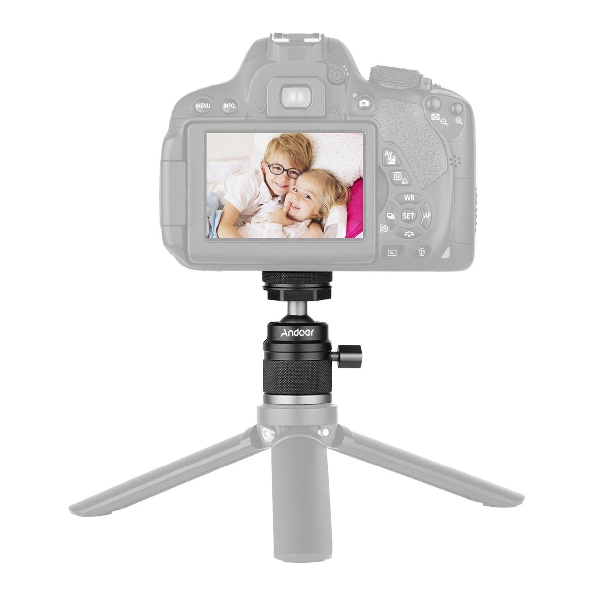 Andoer 2 in 1 Mini Cold Shoe Ball Head Dual Use with 1/4 Screw Cold Shoe Mount 360° Swivel Aluminum Alloy Compatible with Camera Phone Holder Speedlite Tripod Selfie Stick