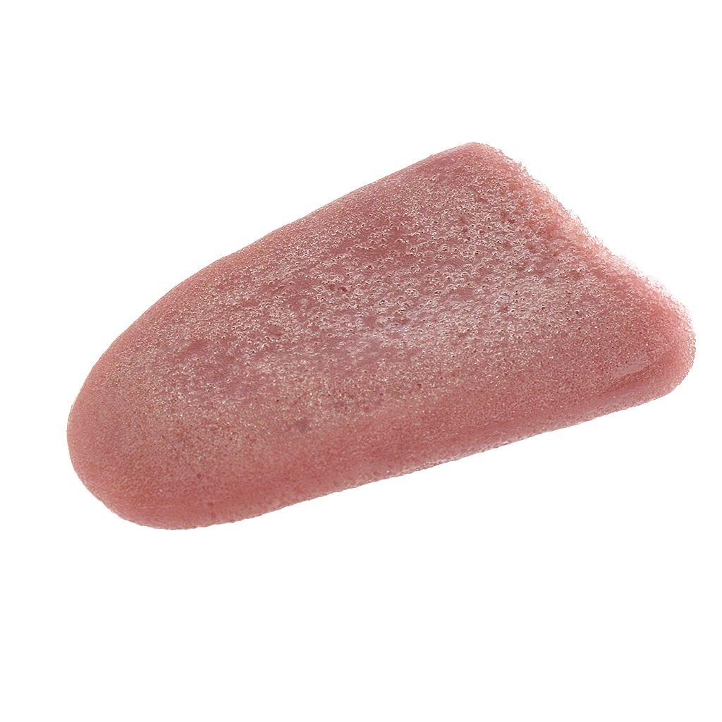 Artificial Horrible Tongue Halloween Party Gag Gifts  Magic Stage