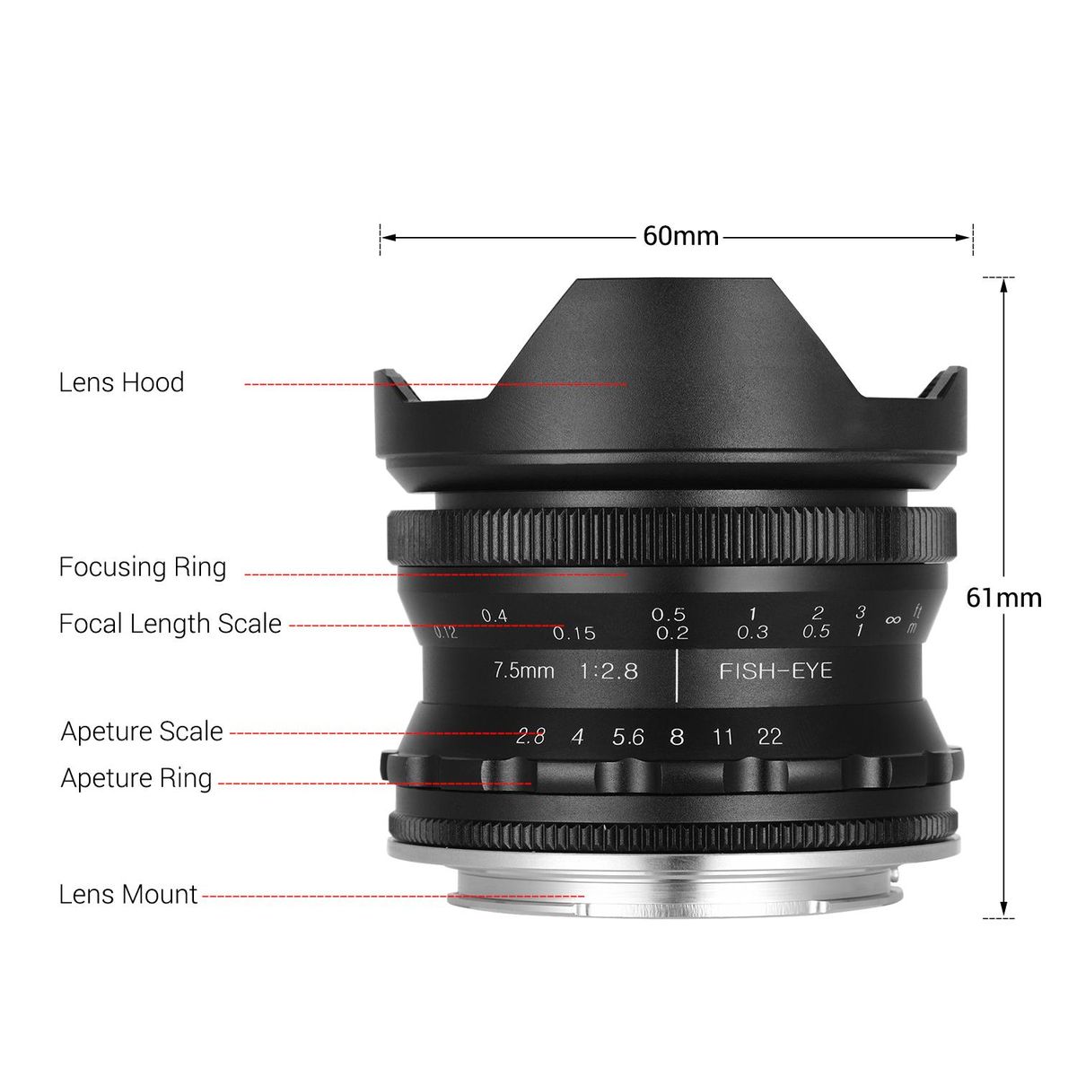 Andoer 7.5mm F2.8 Manual Focus Fisheye Lens 180° Ultra Wide Angle Large Aperture E-Mount Lens Compatible with Sony APS-C Frame ILDC Camera A6600 A6100 A6400 A6500 A6300 A6000 5100 A77II
