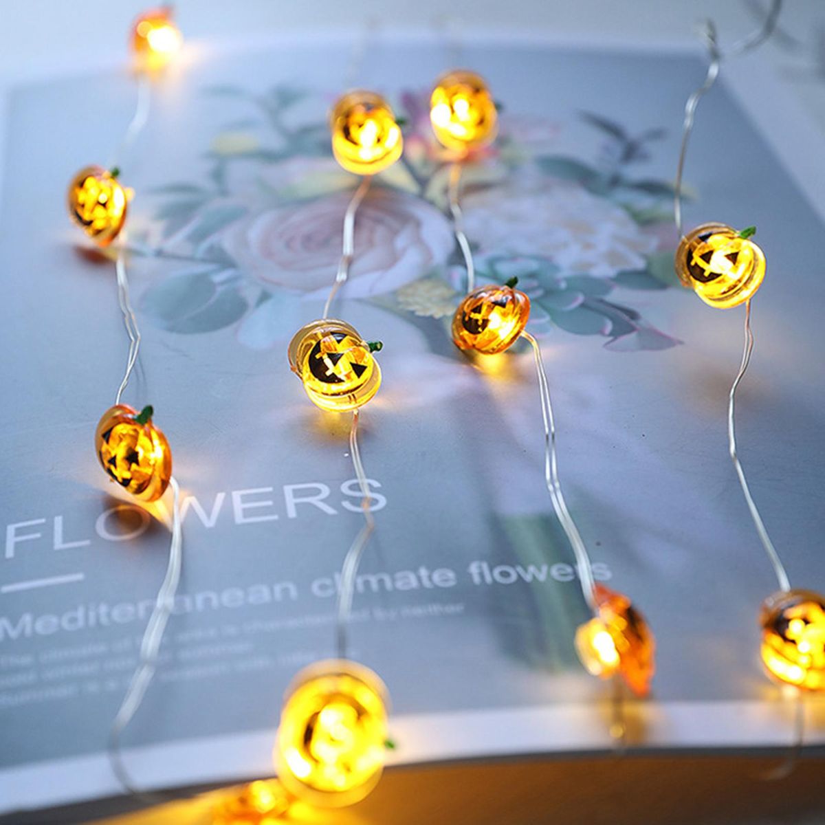 2 Meters/6.6Ft 20LEDs Elk Design String Light Constant Bright& Flash Lighting Mode IP42 Water Resistance 3 * AA Cell Operated for Christmas Xmas Party Home Decoration Present Gift