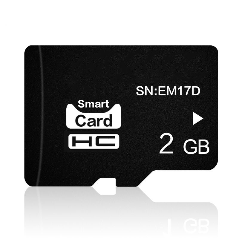 Eekoo 2GB CLASS 4 TF(Micro SD) Memory Card