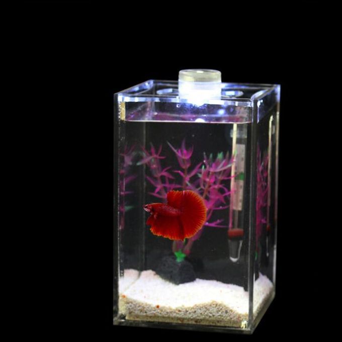 Clear Acrylic Small Fish Tank Bowl For Office Home Decoration Creative