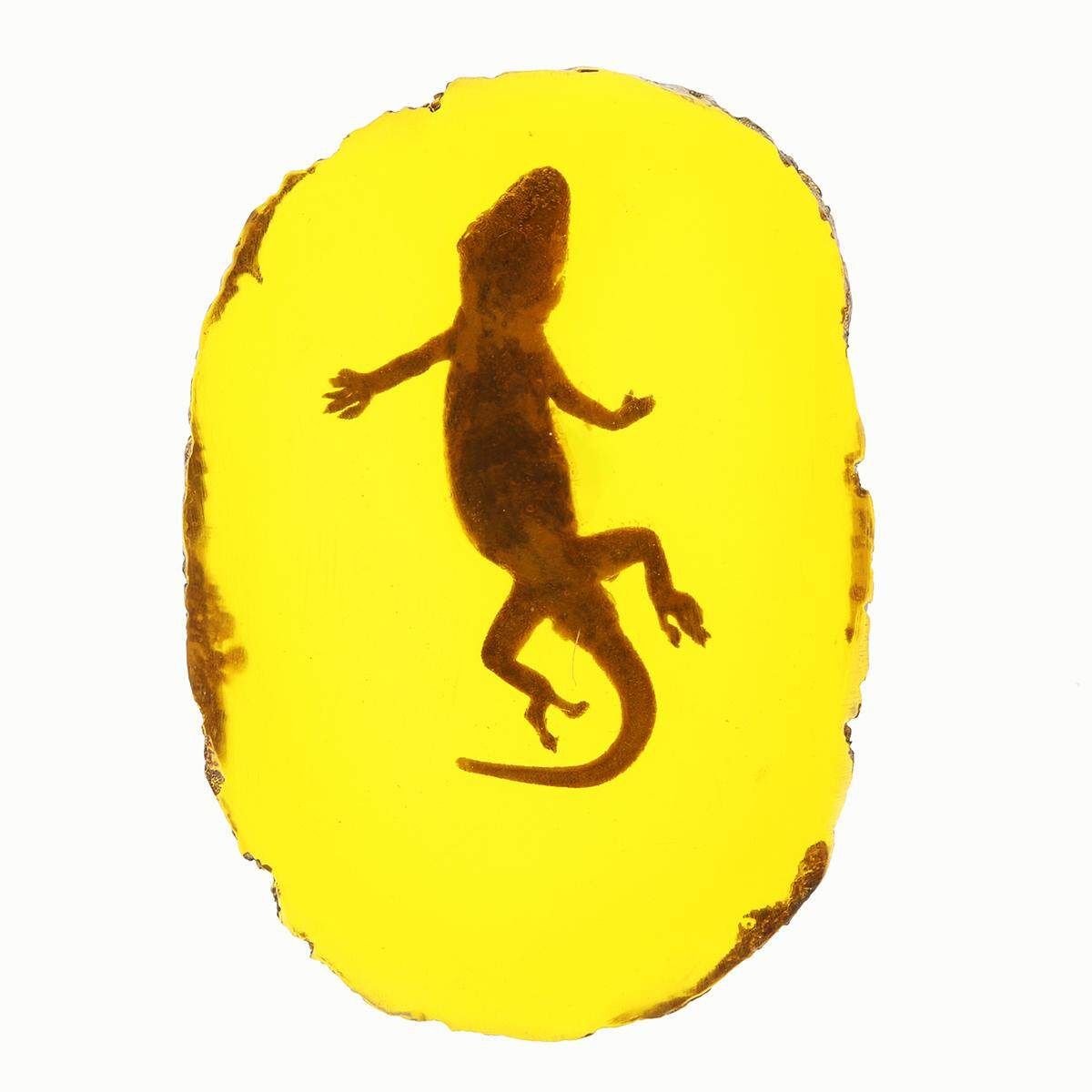 1pc/Set Amber Dragonfly Insects Manual Polishing True Insect Specimens Style 4 - Gecko