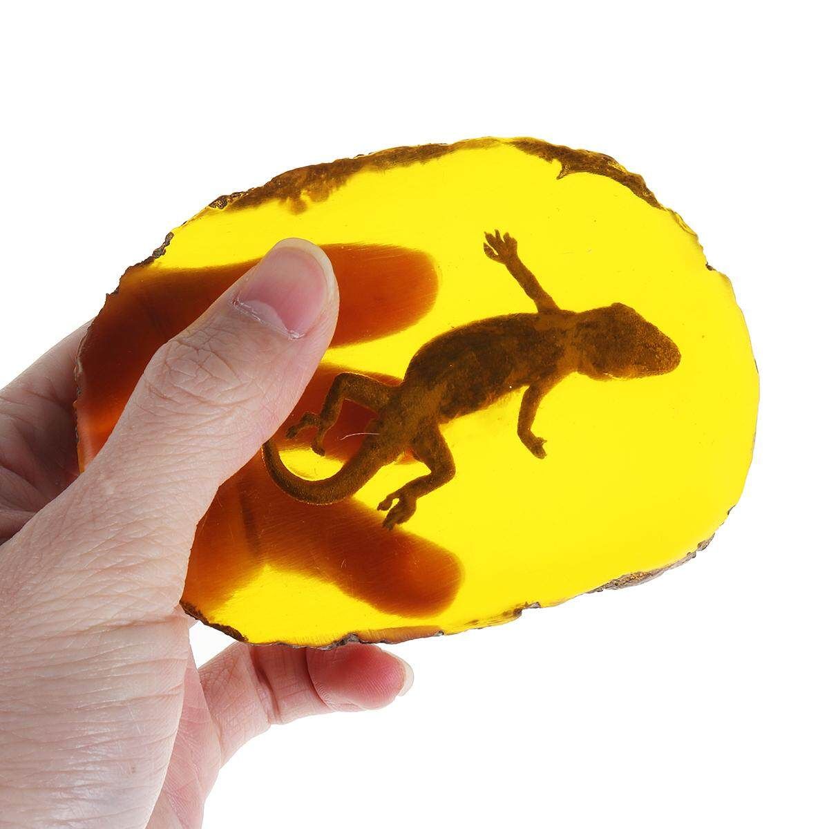 1pc/Set Amber Dragonfly Insects Manual Polishing True Insect Specimens Style 4 - Gecko