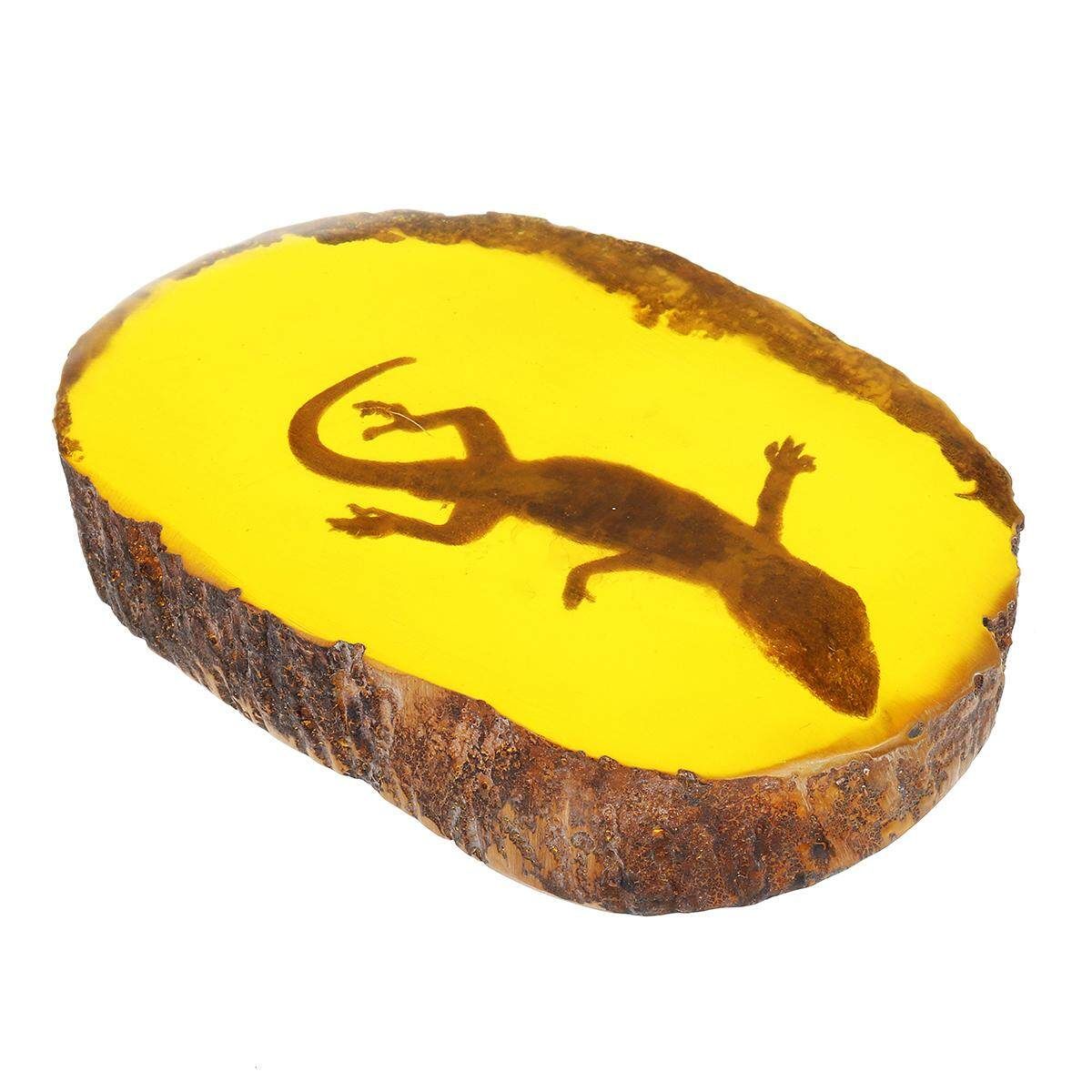 1pc/Set Amber Dragonfly Insects Manual Polishing True Insect Specimens Style 4 - Gecko