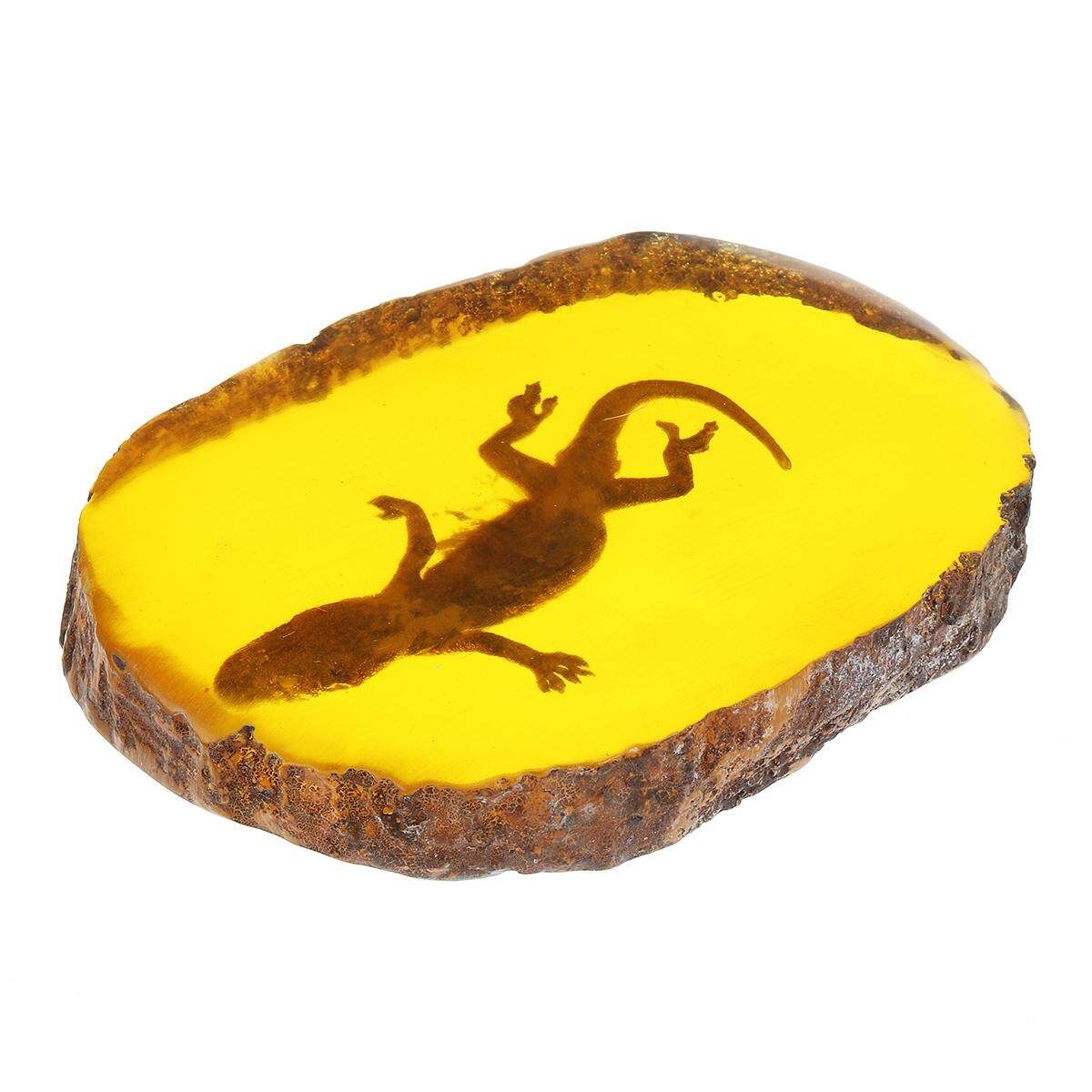 1pc/Set Amber Dragonfly Insects Manual Polishing True Insect Specimens Style 4 - Gecko