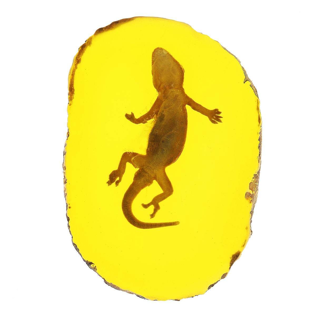 1pc/Set Amber Dragonfly Insects Manual Polishing True Insect Specimens Style 4 - Gecko