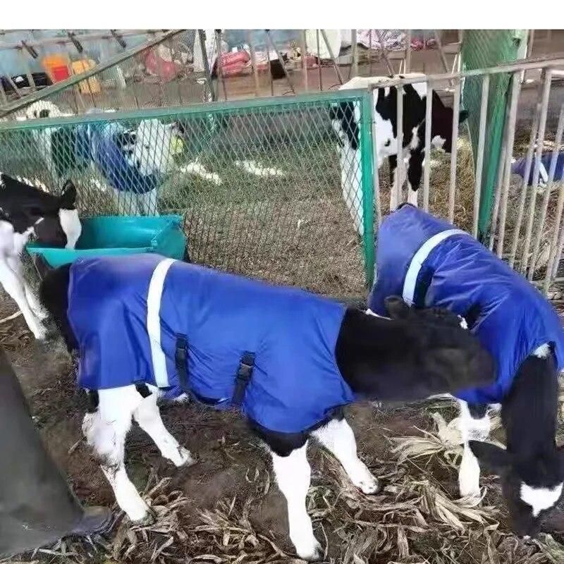 Cow Calf Vest Calf Cold protection Coat Thermal Suit Livestock Oxford Fabric Coat Wind-Proof and Water-Proof Calf Warm Clothing