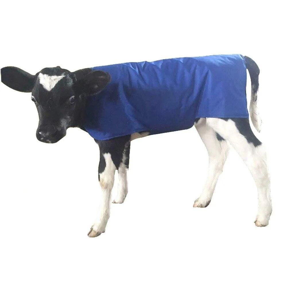 Cow Calf Vest Calf Cold protection Coat Thermal Suit Livestock Oxford Fabric Coat Wind-Proof and Water-Proof Calf Warm Clothing