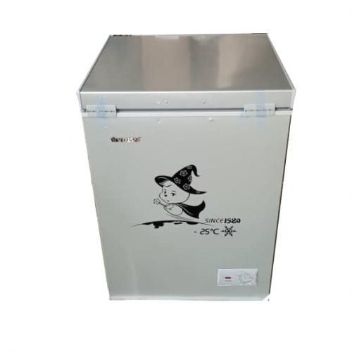 Chest Fast Freezer BD108