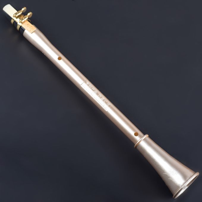 Pocket Clarinet Sax Mini Portable Clarinet-Saxophone Little