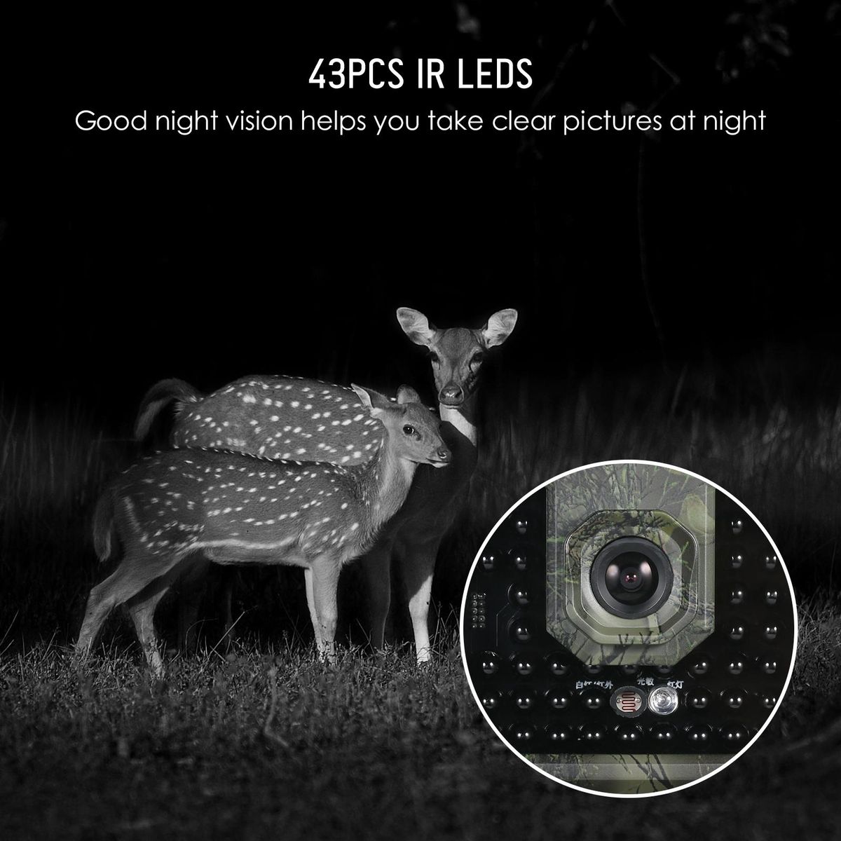 Trail Camera 16MP 4K Waterproof Game Hunting Camera with Night Vision for Wildlife Monitoring Hunting