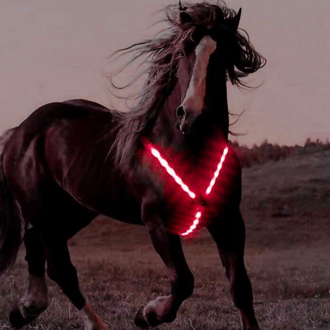 LED Horse Breastplate Collar Harness 3 Lighting Modes Battery Red