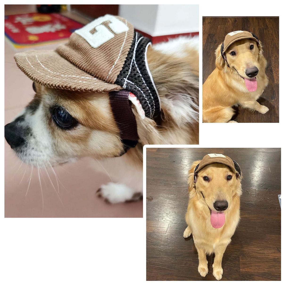 Dog Baseball Cap Letter G Adjustable Pet Summer Caps Sun Hat