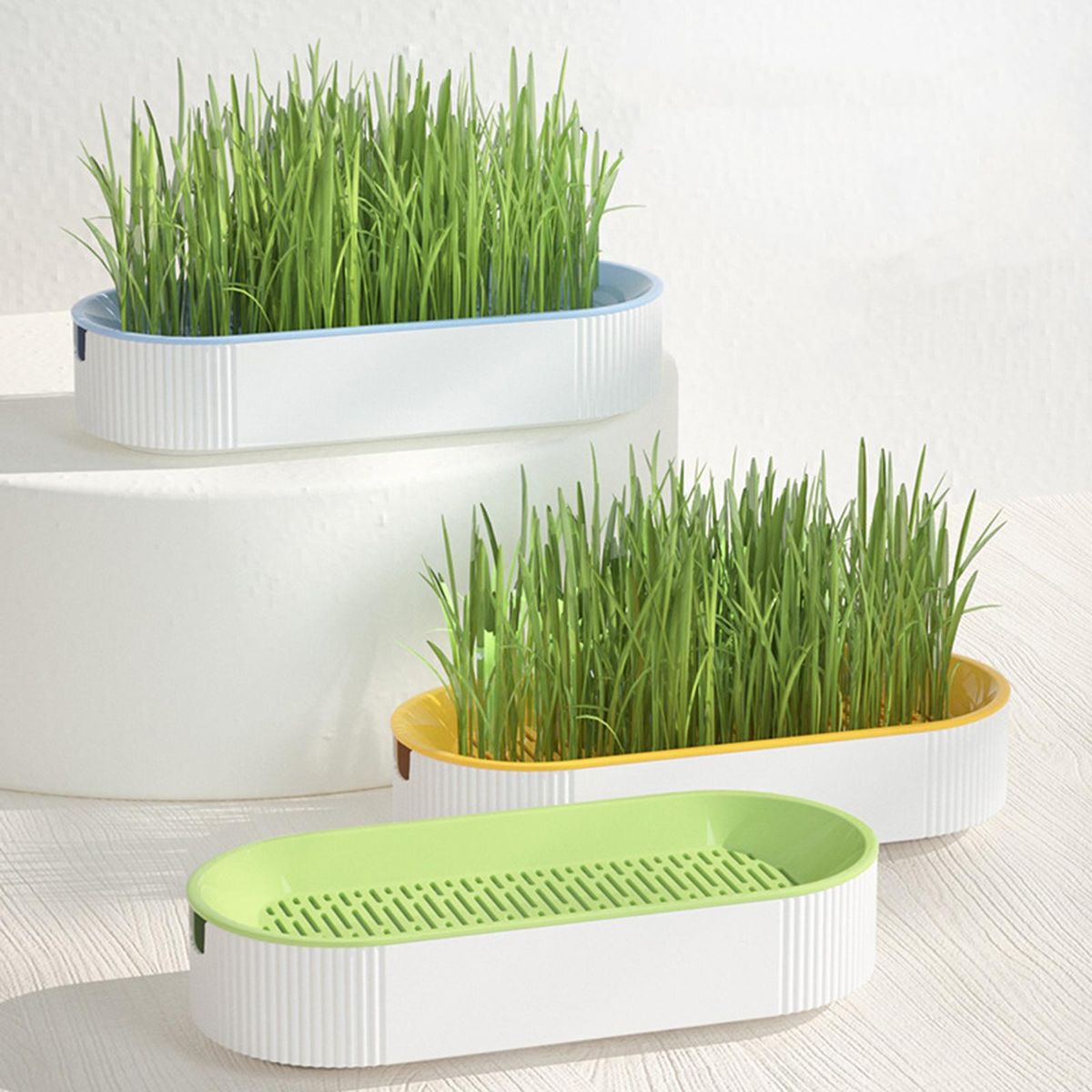 Grow Tray Wheatgrass Growing Trays Catnip Green