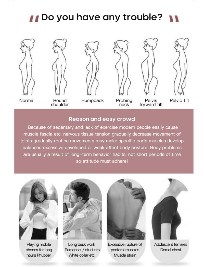 Back Waist Posture Corrector Adjustable Adult Correction