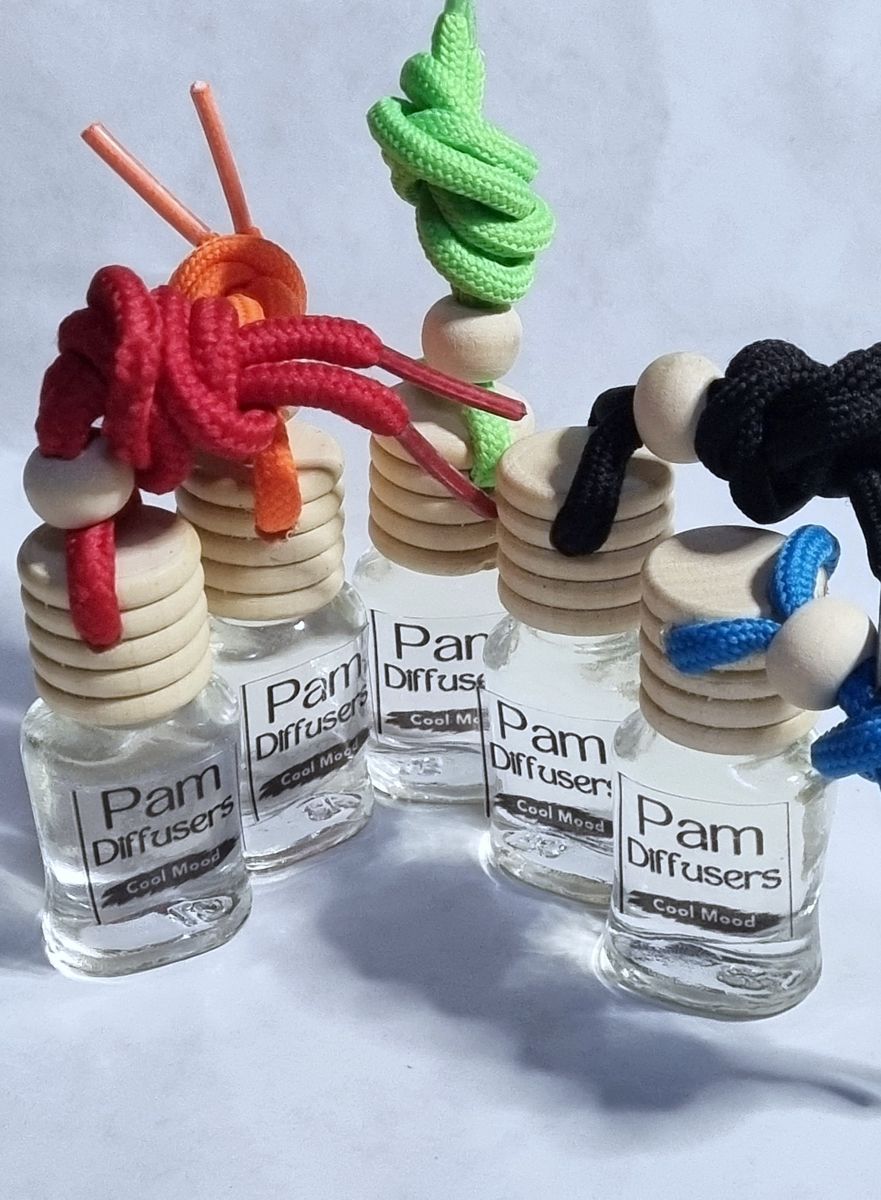 5× Hanging Car Air Freshener - Car Diffuser - Cool Mood