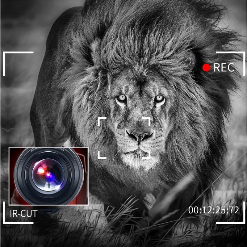 4K HD Night Vision 48MP Home WiFi Live Camcorder DV Digital Camera, Style:Hood +  Microphone